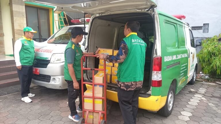 WhatsApp Image 2025-10-08 at 14.14.22