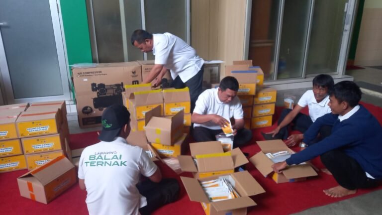 WhatsApp Image 2025-10-08 at 14.14.36