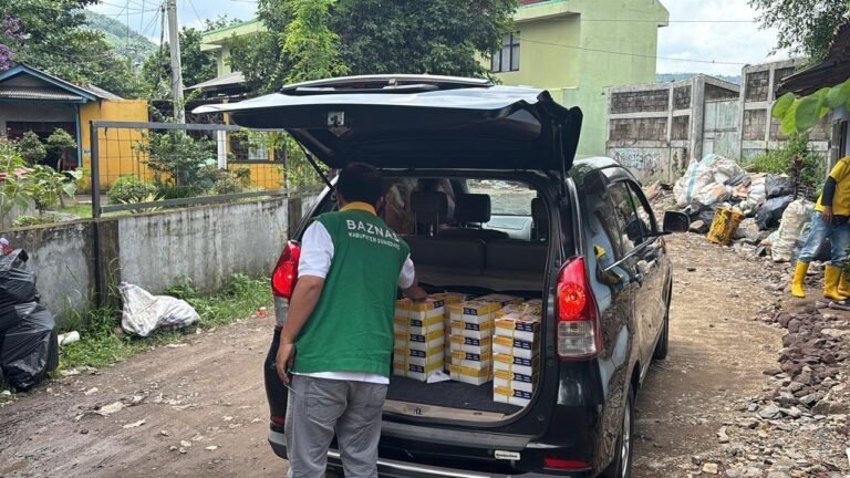 WhatsApp Image 2025-12-01 at 14.58.59