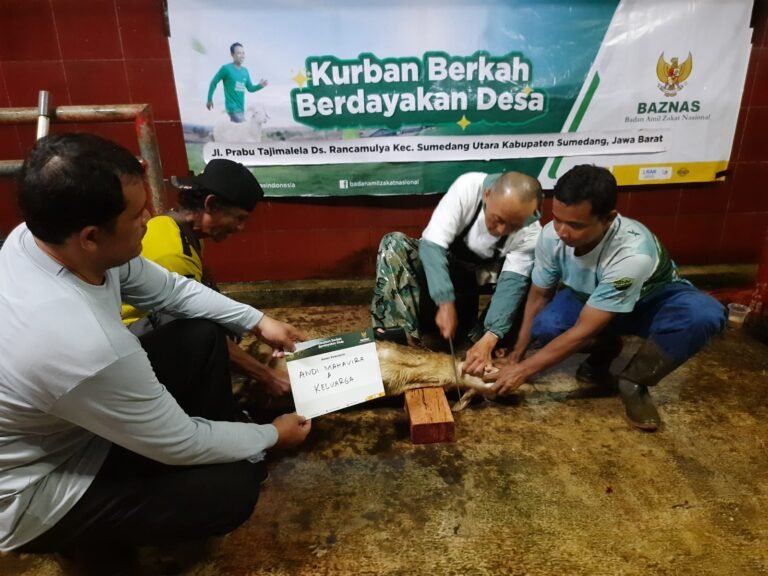 WhatsApp Image 2026-07-15 at 10.09.04